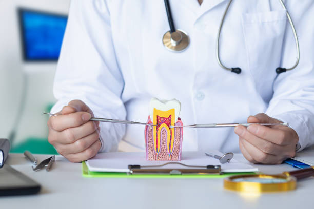 Best Emergency Treatment for Toothache in St George, KS